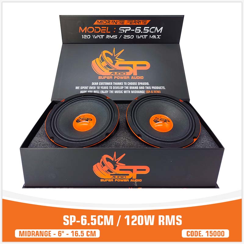 SP 6.5CM MIDRANGE IL PIÙ VENDUTO6,5"/16,5CM 100W RMS (PREZZO COPPIA)