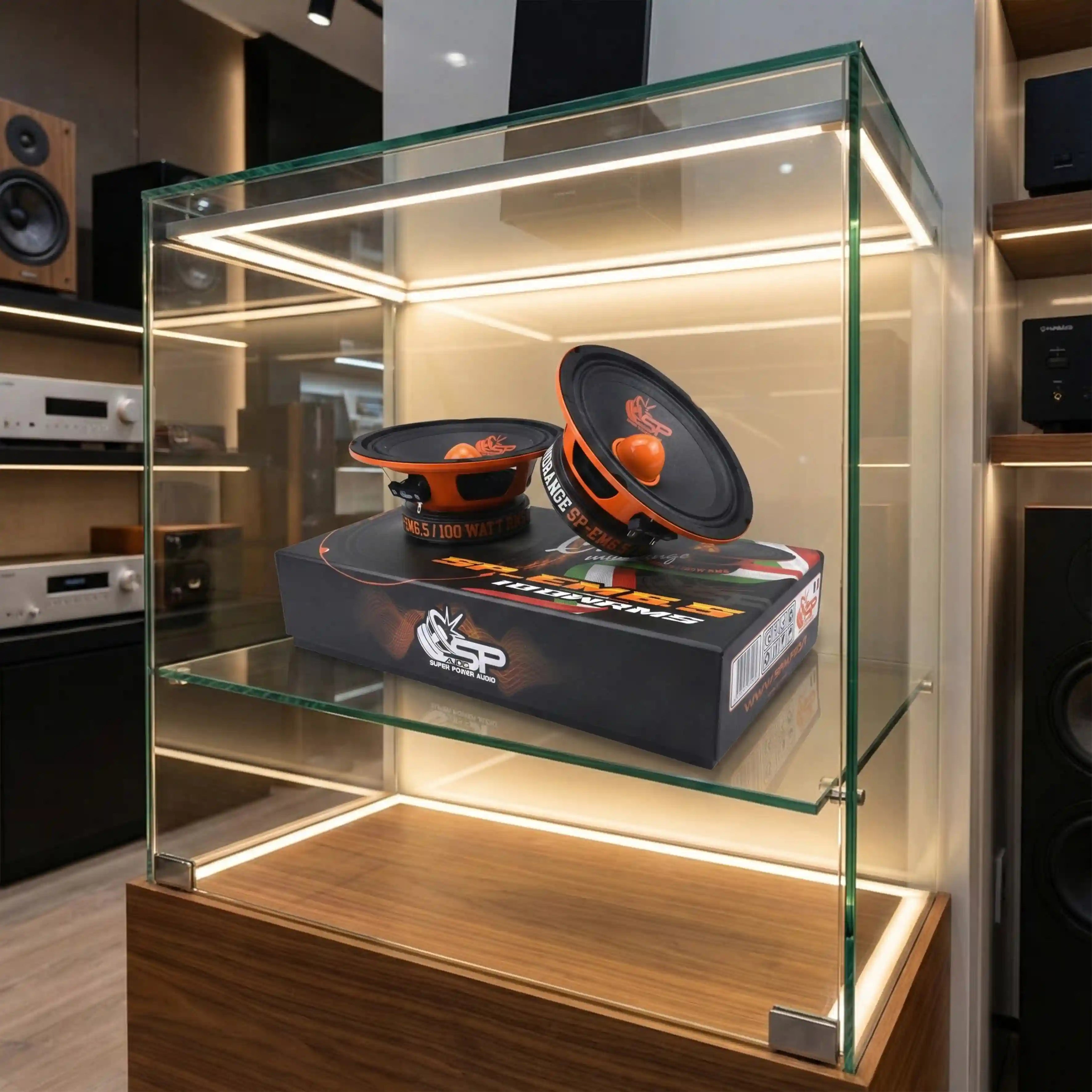 SP-6.5EM - 100W RMS (PREZZO PAIO)