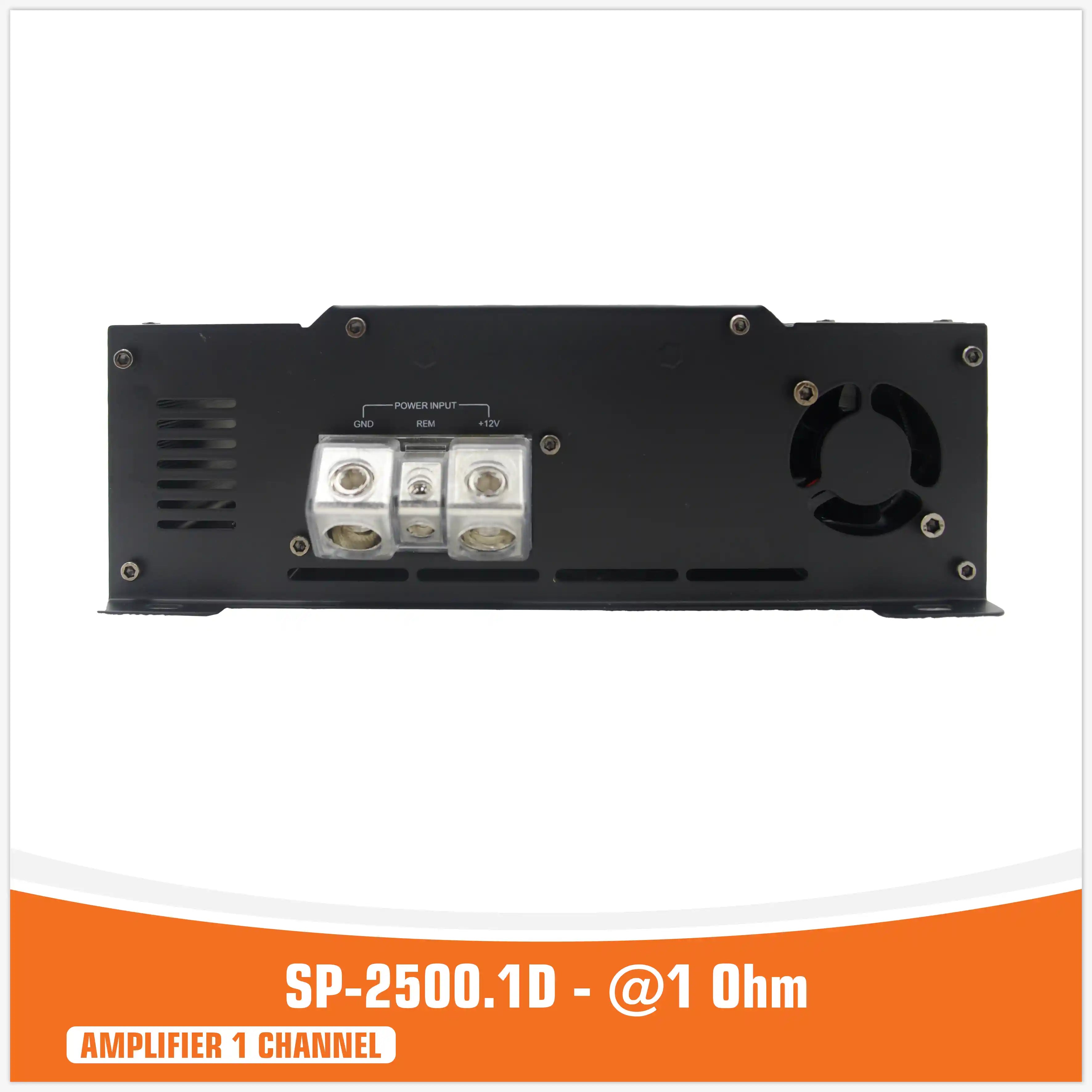 SP-2500.1D - a 1 ohmio