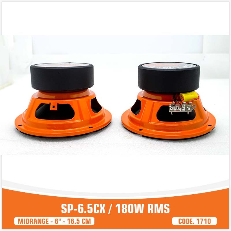 SP 6.5CM MIDRANGE IL PIù VENDUTO6,5"/16,5CM 100W RMS (PREZZO COPPIA)