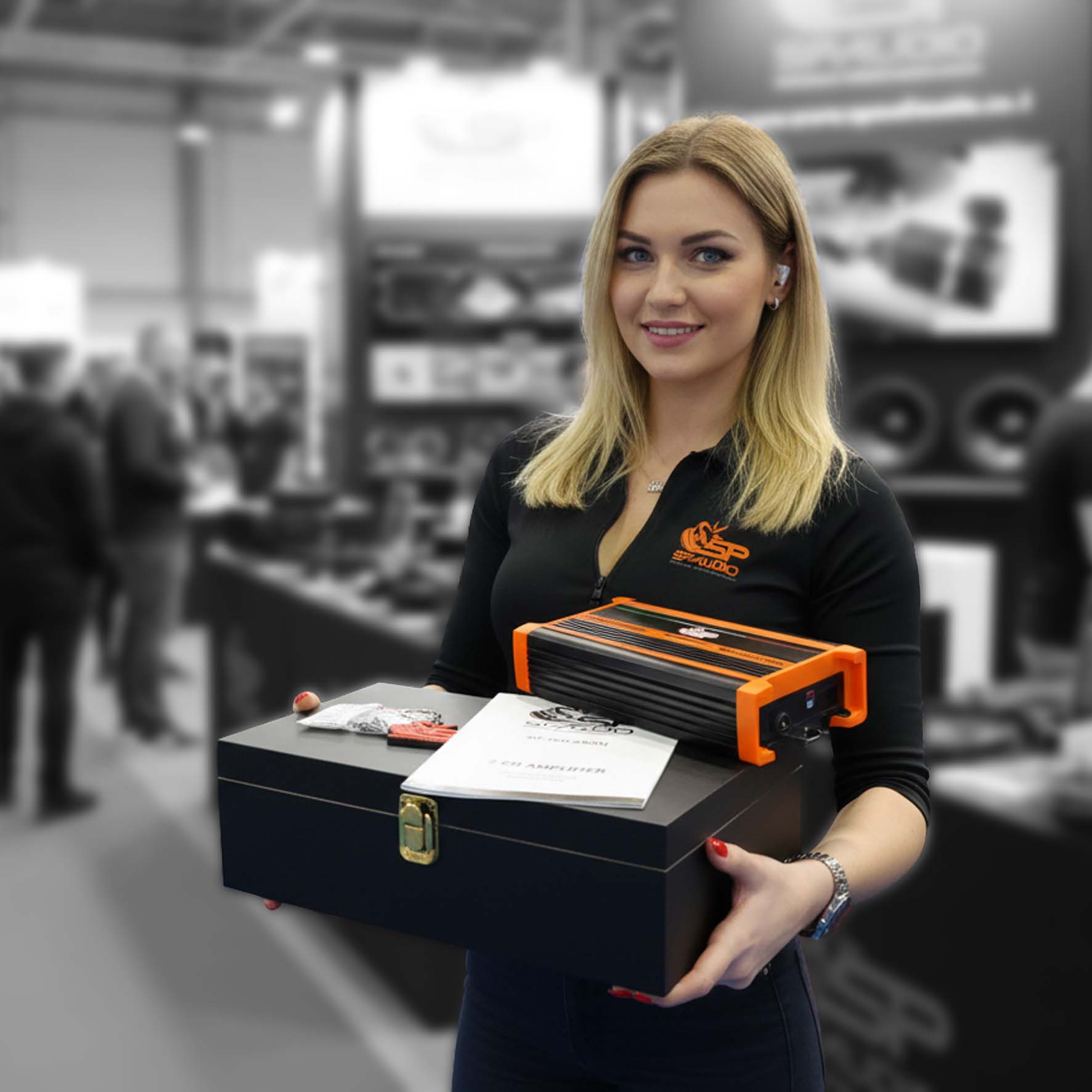 SP-300.2 MINI . AMPLIFIER