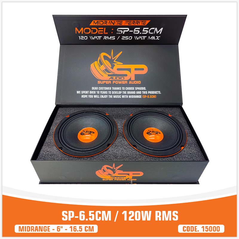 SP 6.5CM MIDRANGE IL PIÙ VENDUTO6,5"/16,5CM 100W RMS (PREZZO COPPIA)